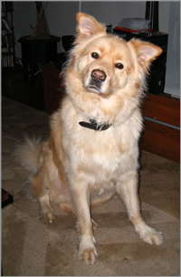 Bailey