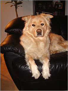 Bailey