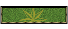 expvbusa.gif (3192 bytes)
