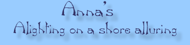 Anna's Alighting on a Shore Alluring