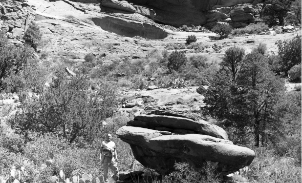 Lost Canyon, near Sedona, AZ