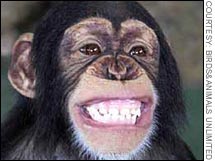 Jeff's Pet