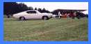 MY TORINO