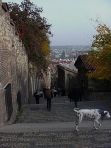 Praha streets2.jpg (62324 bytes)