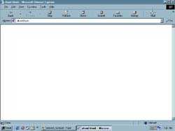 Opened Browser