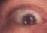on the move
