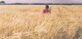 It it wheat? Barley? I dunno, but I like it