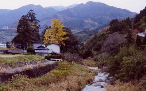 Kyuragi