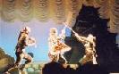 Red Shadow Live-Action Ninja Show