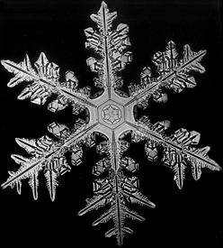snowflake