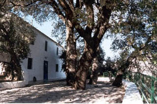 LosFresnos01.jpg (34546 bytes)