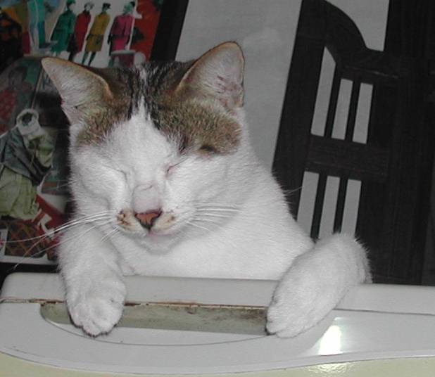 Moby Amayadori, October 2004