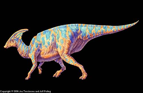 This is a Hadrosaur