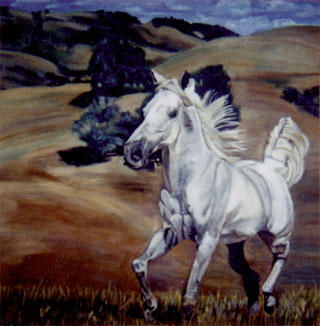 Galloping Free