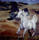 Galloping Free