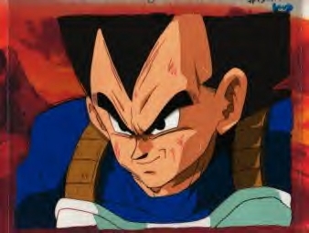 Vegeta- #9 in my collection