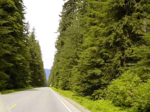 Hwy 101 to Quinault