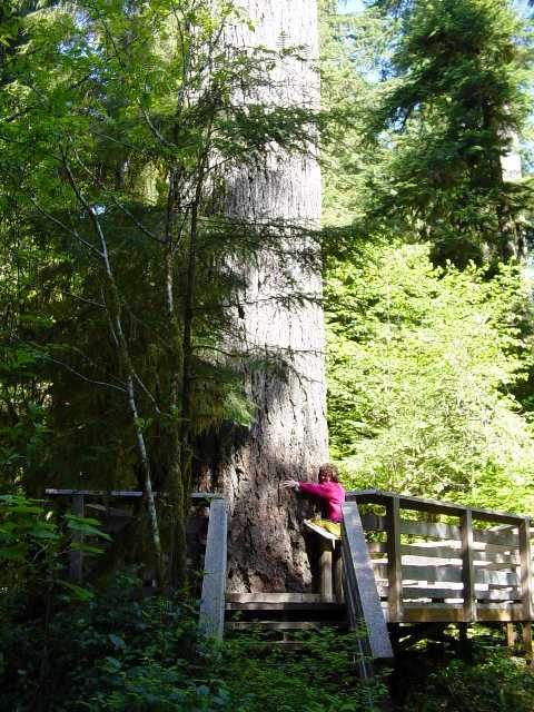 Mom in Quinault