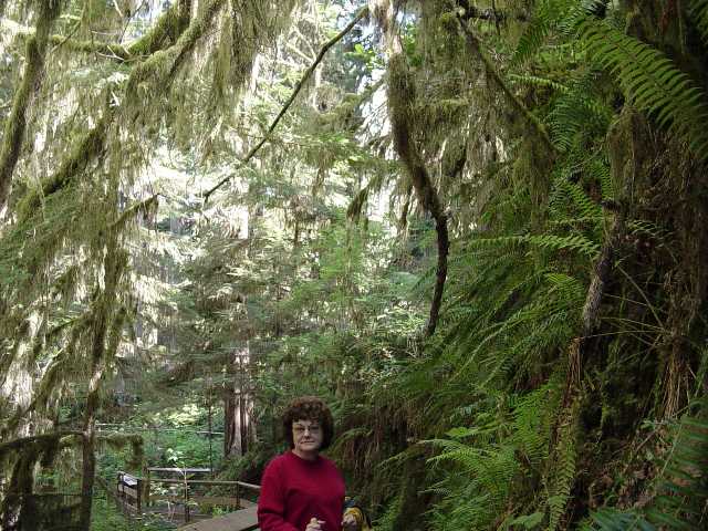 mom in the rainforest
