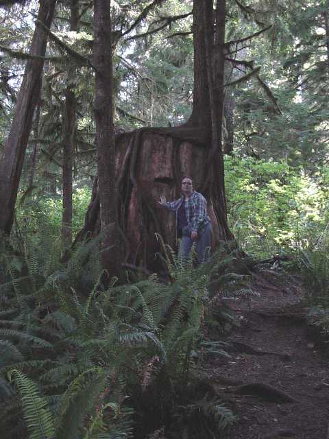 Me by a tree growing from a tree stump
