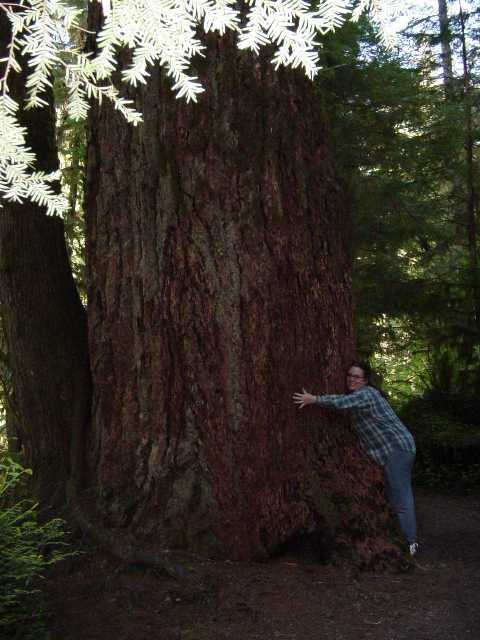 Jena the Tree-Hugger