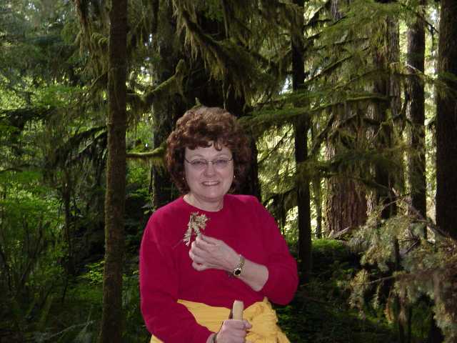 mossy maggie