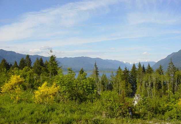 lake quinault