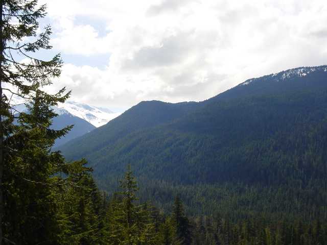 Mt. Ranier