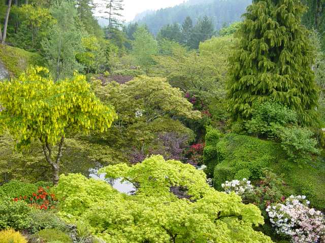 Sunken Garden