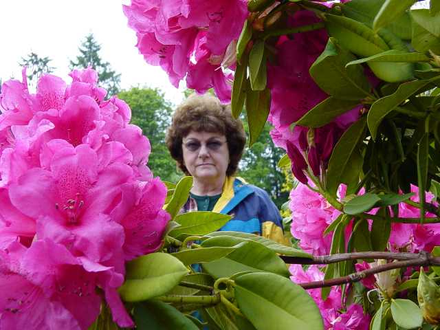 Mom in the Rhodies