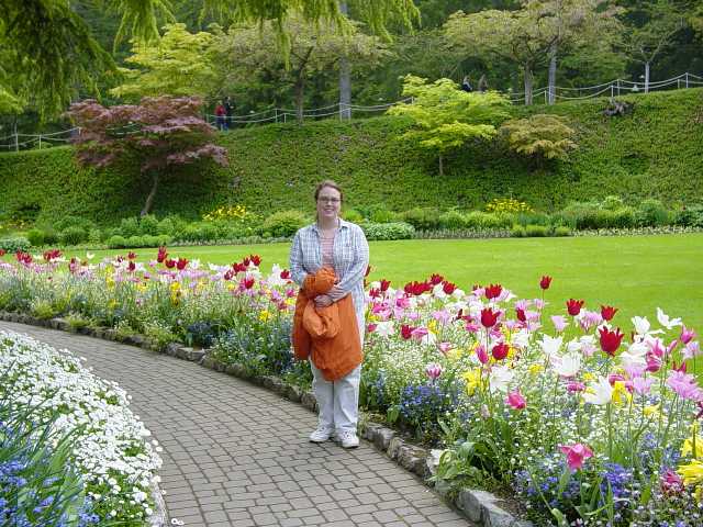 jena & tulips