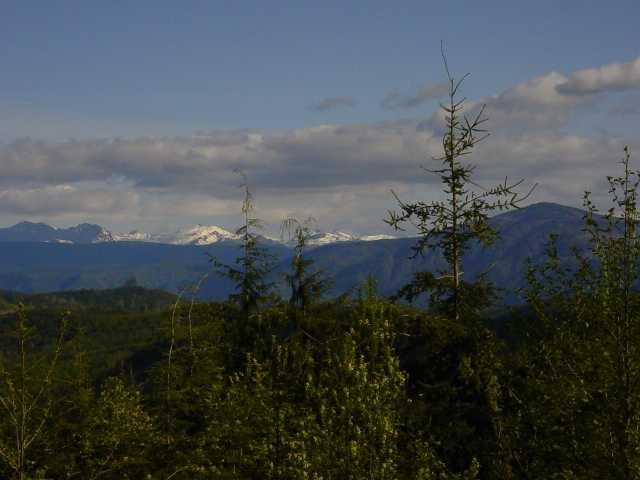 Mt. St. Helens in the distance