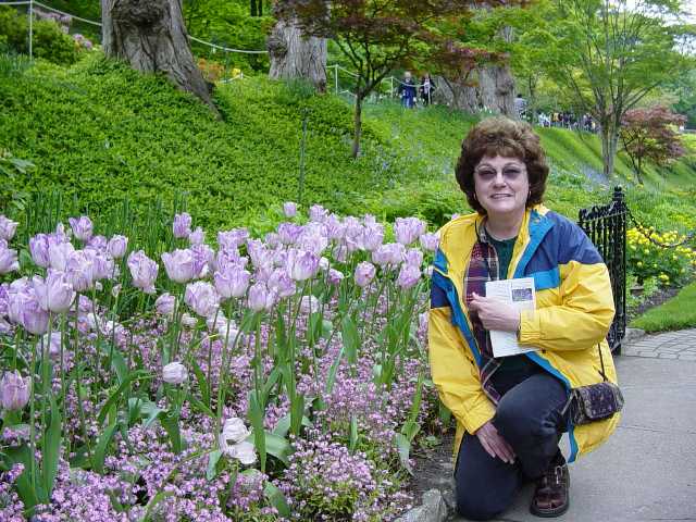 mom & tulips