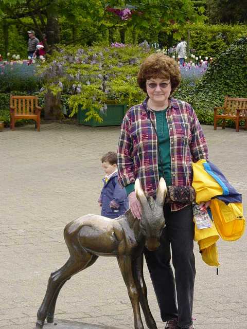 donkey