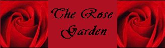 Welcome to the Rose Garden