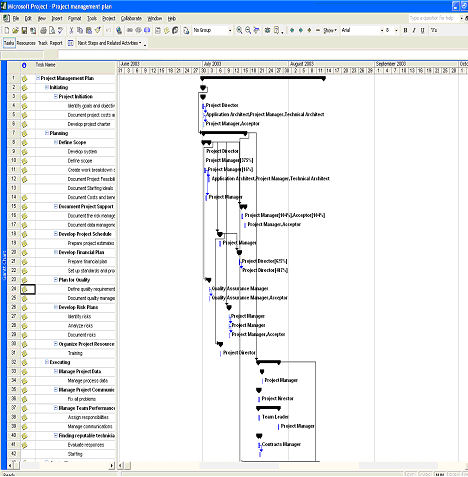 MS Project