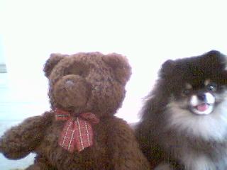 Drew with his teddybear