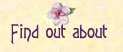 Find out about Jendi
