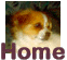 Gonzo's sister, Jendi's Homepage
