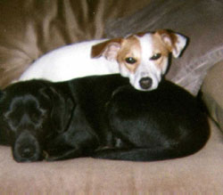 Mia and Trixie
