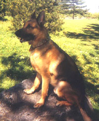 Xator