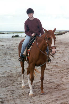 Dammit, horse!  Hold still!