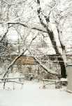 Here's our backyard in winter!
