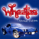 If you are a teenage dirtbag, you love this band.