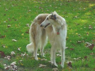 My mom and Meeka