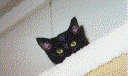 Staring Midnight