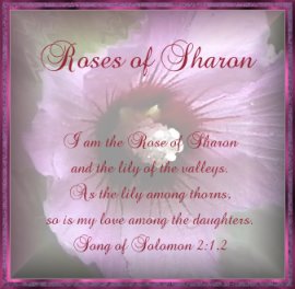 Roses of Sharon