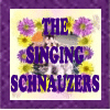 The Singin Schnauzers