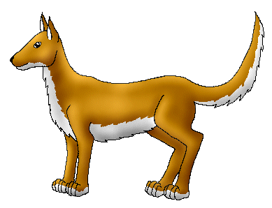 Kayne, Talen's canine.