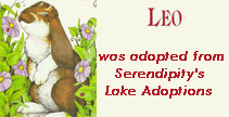 Leo the Lop.